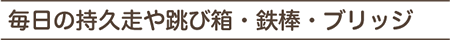 石井式漢字絵本教育を中心とした幼児教育
