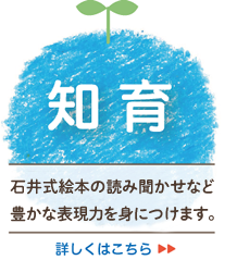 【知育】石井式漢字絵本教育を中心とした幼児教育